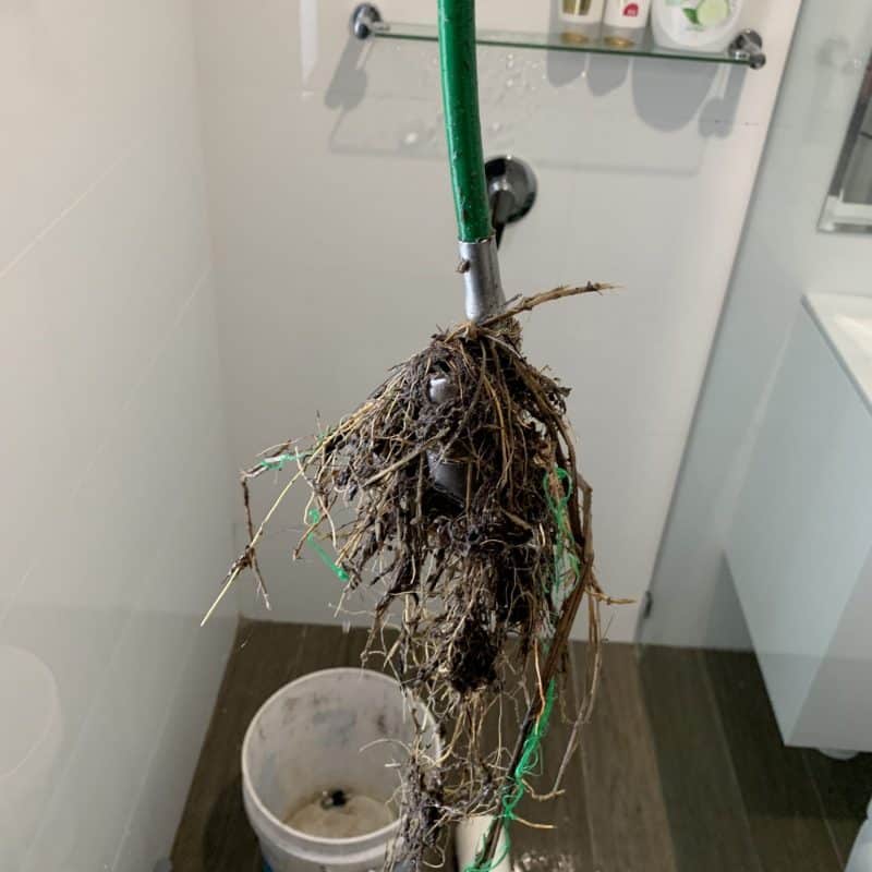 Blocked Drains