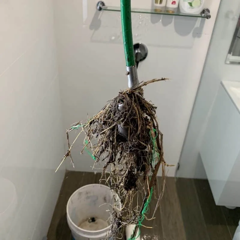 Blocked Drains