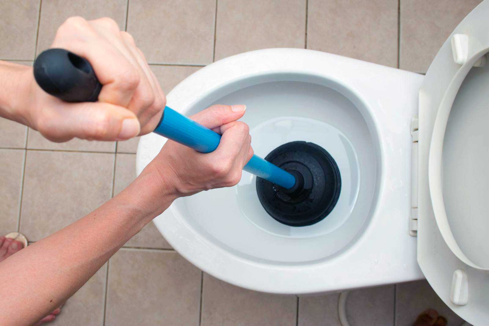 Blocked Toilets + TAPS